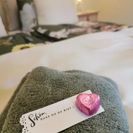 Gräfe - 3-seiten Hof Mit Großem Garten, Pool&sauna * Meißen