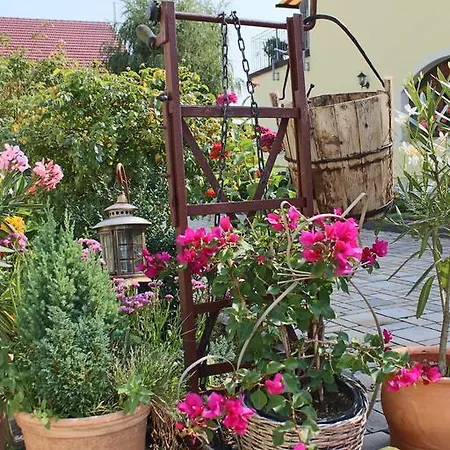 Apartament Graefe - 3-seiten Hof Mit Grossem Garten, Pool & Sauna Meißen