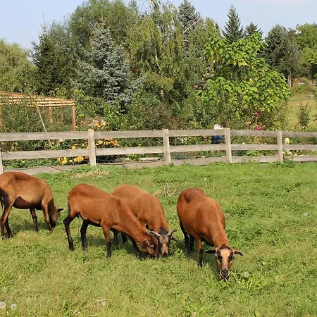 Gräfe - 3-seiten Hof Mit Großem Garten, Pool&sauna Meißen