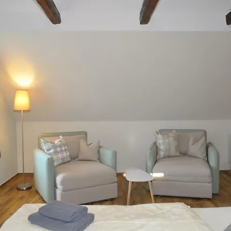 Gräfe - 3-seiten Hof Mit Großem Garten, Pool&sauna * Meißen