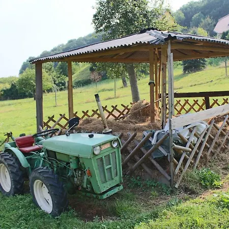 Graefe - 3-seiten Hof Mit Grossem Garten, Pool & Sauna