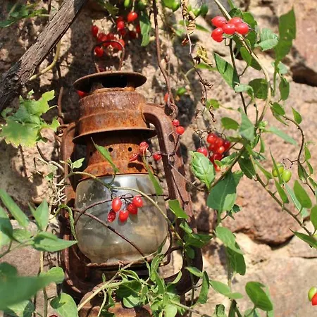 Graefe - 3-seiten Hof Mit Grossem Garten, Pool & Sauna Apartament