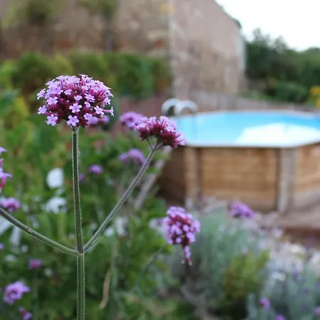 Apartament Graefe - 3-seiten Hof Mit Grossem Garten, Pool & Sauna