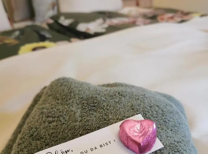 Graefe - 3-seiten Hof Mit Grossem Garten, Pool & Sauna * Meißen