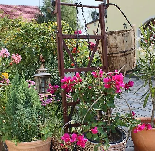 Appartement Graefe - 3-seiten Hof Mit Grossem Garten, Pool & Sauna Meißen