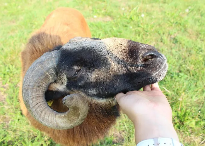 Graefe - 3-seiten Hof Mit Grossem Garten, Pool & Sauna Appartement *