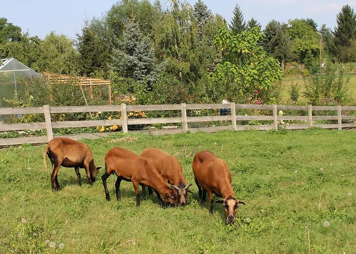 Graefe - 3-seiten Hof Mit Grossem Garten, Pool & Sauna Meißen