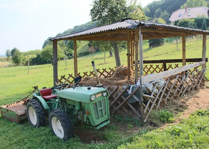 Graefe - 3-seiten Hof Mit Grossem Garten, Pool & Sauna