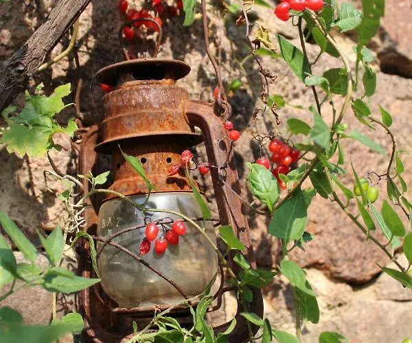 Graefe - 3-seiten Hof Mit Grossem Garten, Pool & Sauna Appartement