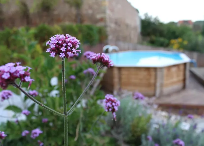 Appartement Graefe - 3-seiten Hof Mit Grossem Garten, Pool & Sauna