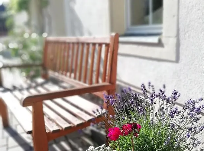 Graefe - 3-seiten Hof Mit Grossem Garten, Pool & Sauna Appartement Meißen